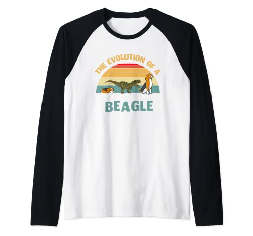 The Evolution of a Beagle or Evolution of dogs Raglan Baseball Tee