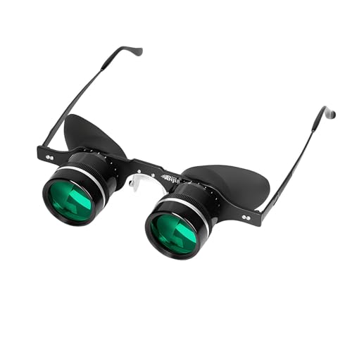 lԍHwɊÂKltB[hOXߎ␳̂߂̃_uWIv^[ƒZœ_sZR[eBO