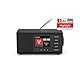 Hama DAB Radio mit DAB+/DAB und FM DR1000DE (Digitalradio mit großem Display, Küchenradio mit einfacher Bedienung, kleines Radio mit großen Tasten, UKW, AUX, 5W, Radiowecker, Seniorenradio) schwarz