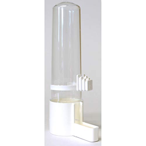 Clipper Fountain Bird Water Feeder Size: Large (4cm L x 4cm W x 15cm H)