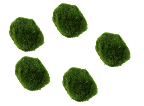 Biotope Aquatics Ltd - Live Marimo Moss Balls, Cladophora aegagropila Moss Ball, Aquarium Plant (5 x Moss Balls (2-3cm)) Biotope Aquatics Ltd - Live Marimo Moss Balls, Cladophora aegagropila Moss Ball, Aquarium Plant (5 x Moss Balls (2-3cm))