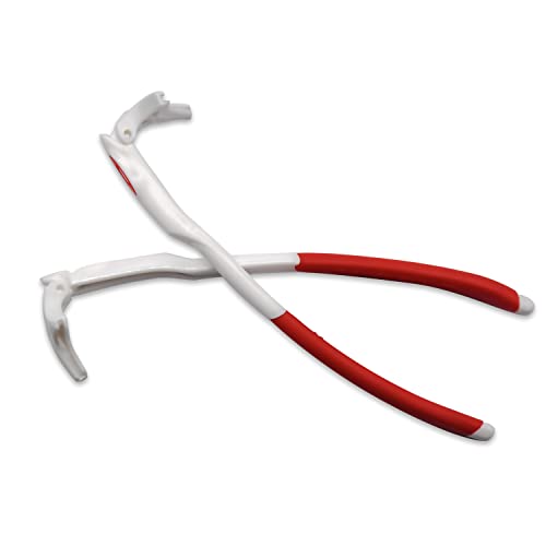 HKUCO  S ݊/ Klr Oakleys EV-Zero TOXt[
