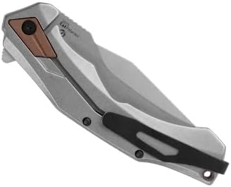 Kershaw Payout Folding Pocket Knife, 3.5 Inch Blade with SpeedSafe Assisted Opening, Frame Lock (2075), Steel