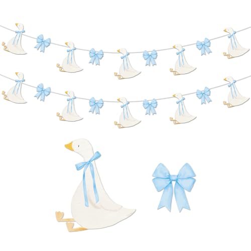 Image of TaoBary 2 Set Blue Bow Silly Goose Birthday Banner Silly Goose Party Decoration for Farm Animal Baby Shower Birthday Party Decorations