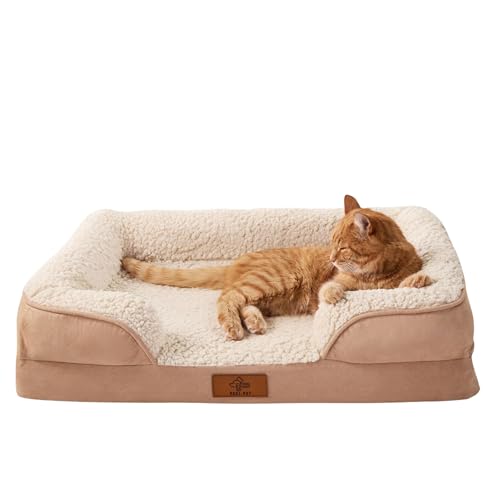 VEEL PET Orthopädisches Katzenbett waschbar & abnehmbar- Premium Memory Foam Haustierbett mit wasserdichtem Bezug, Rutschfester Unterseite- Luxuriöses Katzen Sofa für kleine Hunde & Katzen (SMALL)