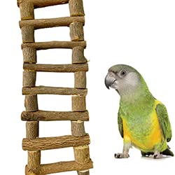 Congo® Bird Safe-Chew 24 inch Wooden Ladder Bridge | for Climbing & Chewing | Fun-Full Toy for Conure, African Grey, Amazon and Macaw Piece of 1 2
