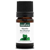 immagine banner Amazon