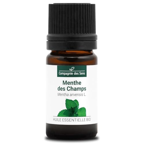 MENTA DEI CAMPI (Mentha arvensis) BIO - 5mL - Olio Essenziale di Qualità Premium - 100% Puro, Naturale, Chemiotipizzato e Integrale
