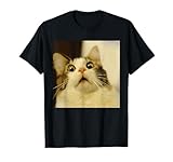 Photo Gallery divertente gatto drammatico meme carino gattino sorpresa scherzo divertente maglietta Photo Gallery divertente gatto drammatico meme carino gattino sorpresa scherzo divertente maglietta