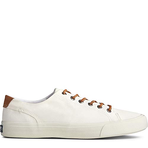 Sperry mens Striper Ii Ltt Sneaker, Sw White, 9.5 US