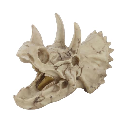 Modelo de cráneo de dinosaurio Triceratops miniatura 1