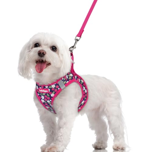 Image of rabbitgoo Dog Harness Medium Sized and Leash Set, Step-in Puppy Pet Vest