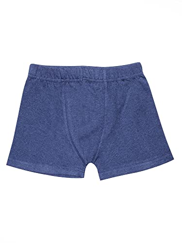 Image of KiddoPanti Boys Boxer Shorts Pack of 3 | Soft Cotton-Lycra Blend | Comfortable Fit with Bio Wash for All-Day Comfort | Kids Briefs