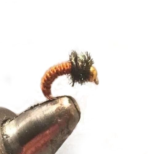 Strike Fly Beadhead Prince Nymph with Black Collar 1 Dozen - Nymph Fishing Flies Assortment - Size 8 Fishing Accessories - Versatile Hook Sizes - Expertly Tied Flies