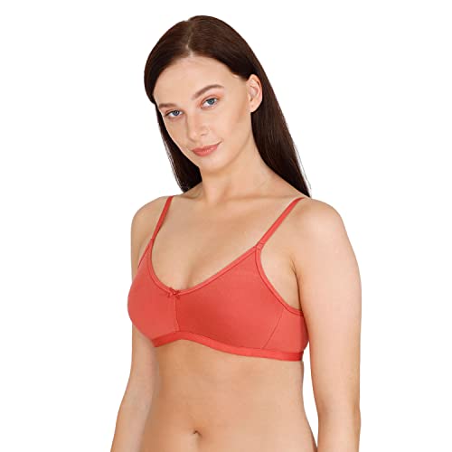 Image of Zivame Women T-Shirt Bra