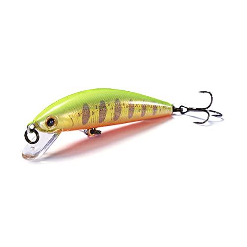 Jackson Trout Tune 55 Gym Gold Yamame