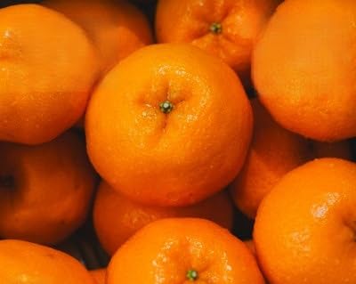 創業百八年 愛媛みかんの老舗(ポンカン 3kg)家庭用(新口農園)(C70-64)