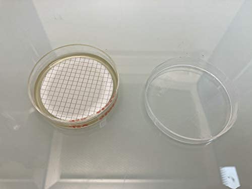 AGAR MACCONKEY PARA ENTEROBACTERIAS -20 PLACAS 55 mm- MEDIO CULTIVO MICROBIOLOGICO