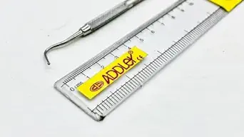 ADDLER DENTAL DAICALE BALL BURNISHER DOUBLE ENDED SERRETED HANDLE. LIFE TIME ANTI RUSTING WARRANTY.