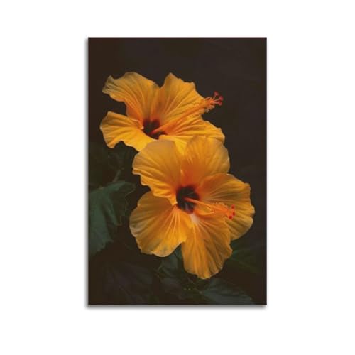 Affiche murale hibiscus jaunes fond sombre ZHOUKEG 60x90cm
