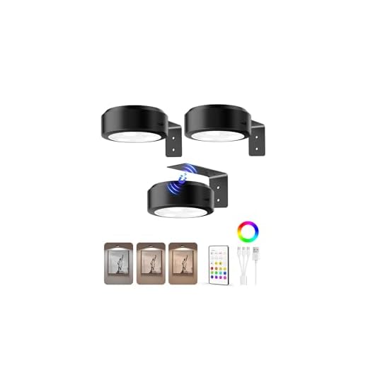 EZVALO Picture Lights for Wall, 2000mAh Rechargeable Battery Magnetic Poster Lights with 3 Color Temps & 12 RGB, Remote Dimmable Timer Painting Light, Wall Decor Light for Art Display, Frame (3 Pack)