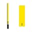Neon Yellow