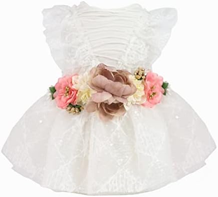 Fitwarm Fancy Flower Sash Dog Princess Tutu Dress, Formal Dog Clothes for Small Dogs Girl, Pet Wedding Attire, Cat Outfit, White, XS
