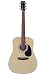 Berkeley DREADHOT-OP Dreadnought Body Spruce Top Acoustic Guitar