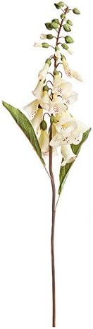 Napa Home & Garden FOX GLOVE 24" STEM CREAM