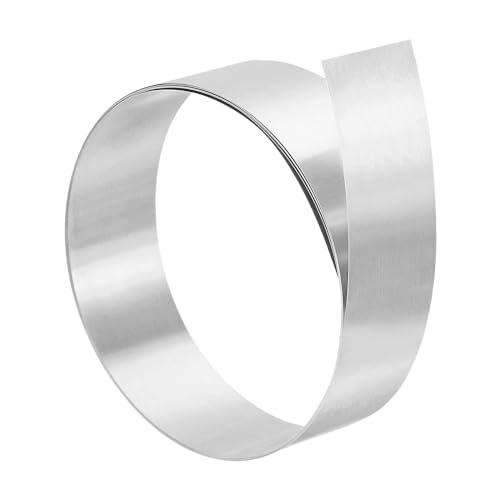 PATIKIL Rollo de Lámina de Acero Inoxidable de 2 cm x 1 m, 1 Rollo de Chapa para Techos de Acero Inoxidable 304, 0,1 mm de Grosor, para Techos, Canalones