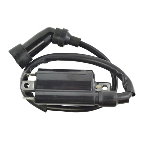 Bobine d'allumage pour Raptor 700/700R YFM700 Quad 2006-2019
