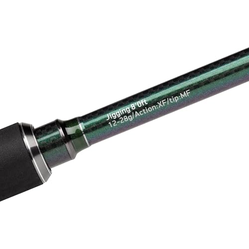 Canne Abu Garcia Spike X Finesse Jigging : l'art de ressentir chaque touche de sable et de roche