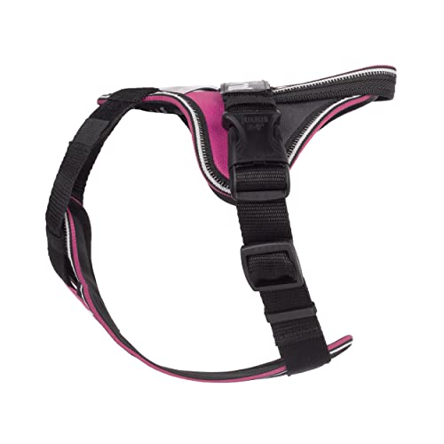 JULIUS-K9 IDC Longwalk Y-Harness, Pink-Gray, Size: XS - Image 3
