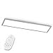 EGLO Plafoniera Led Bottazzo, Lampada da soffitto 100x25 cm, pannello ultrapiatto in alluminio e plastica color argento, dimmerabile con telecomando, cambio di temperatura colore