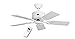 Produktbild CasaFan Deckenventilator Eco Elements 103 Deckengerät