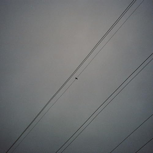  L8_10