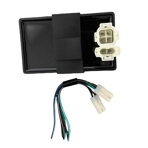 Bobine d'allumage avec boîtier CDI 30410-HM3-003 pour un démarrage stable du TRX300