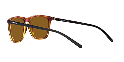 Image of ARNETTE mens An4301 Fry Cat Eye Sunglasses