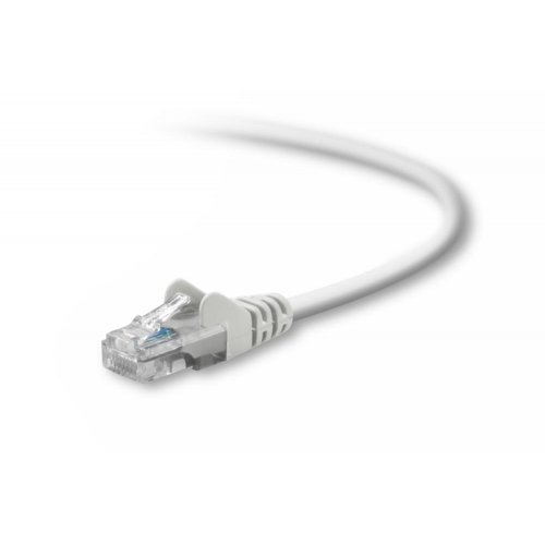 Belkin - Patch cable - RJ-45 (M)