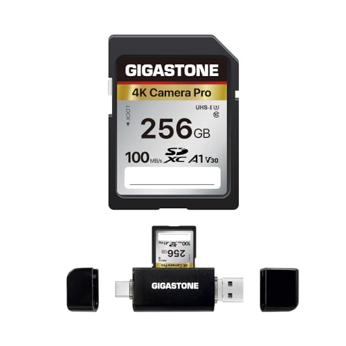 [5 Ans Récupération de données Gratuite] GIGASTONE 256Go Carte SD avec USB Type C Lecteur de Carte, 4K Camera Pro, A1 V30 U3 SDXC 4K UHD Video pour Canon...