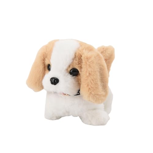 ̂ dʂ {bg    Mtg ɔ邨 (g)