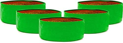See full amazon price history chart for Terrace Garden Grow Bags, 15 x 6 inches, Pack of 5, Green Terrace Garden Grow Bags, 15 x 6 inches, Pack of 5, Green (B0D3M8MXSY) Amazon Price History, Amazon Price Tracker