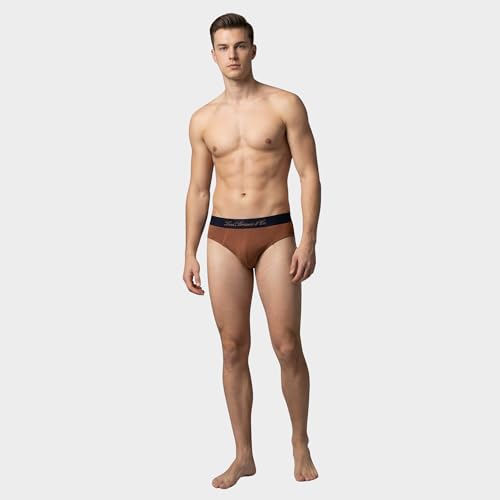 Image of Levi's Cotton Elite Brief | Premium Men's Brief Underwear | 4-Way Stretch | Outer Elastic Waistband | Double-Layered Pouch | Style 073 | Pack of 1