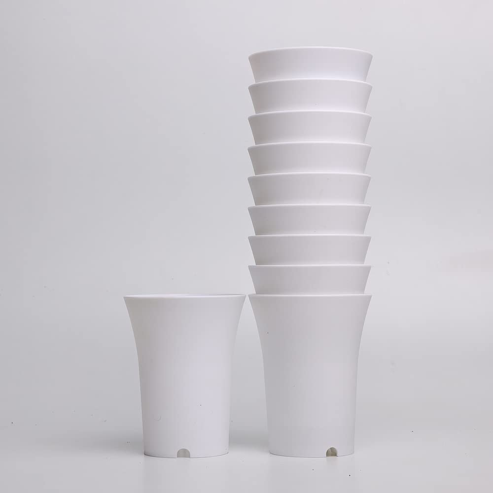 TILLAGE-Thailand Model Tall Pot White Colored Cactus and Succulent Plastic pots. (White, 10)