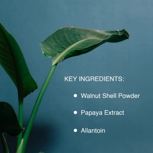 Pharmagel Enzyme Ex-Cell - Gentle Papaya Face Exfoliator Scrub for All Skin Types - 6 Ounces - Image 8