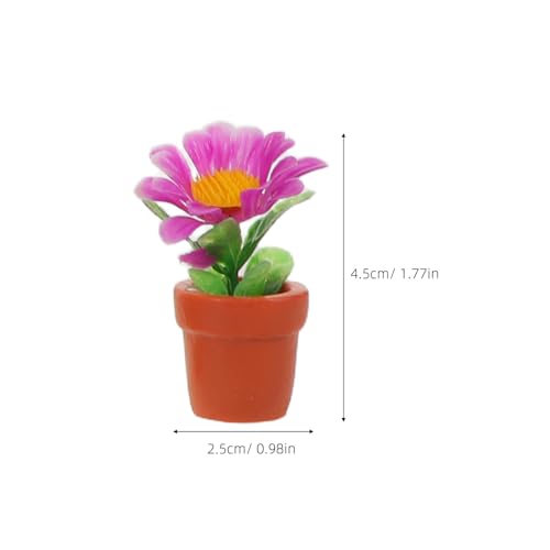 VALICLUD �~�j�`���A�������A�ؔ� 28�� �h�[���n�E�X�p�t�F�C�N�A�� �~�j�~�͔� �K�[�f���~�j�`���A���� �������O�̒뉀�t�B�M���A