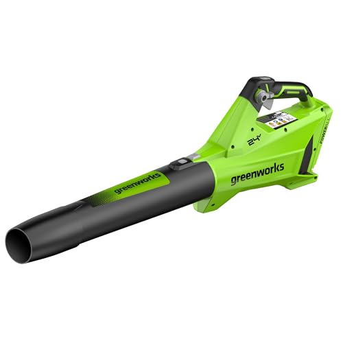 Greenworks Souffleur sans Fil 24V, Moteur Brushless, 177 km/h, 12,18 m³/Min, Vitesse Variable, Régulateur, Turbo, Léger, Outil Seul BL24L01-01