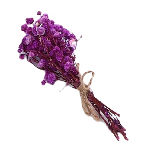 Mini ramo de flores secas hecho a mano, 12 piezas miniatura 6