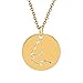 Produktbild SHIJIAN Gold Farbe Edelstahl Sternzeichen Anhänger Konstellationen Tag Halskette Zubehör für Frauen und Mädchen Täglichen Gebrauch Party Schmuck Geburtstagsgeschenk, Wassermann