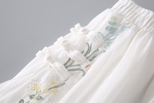 Women Chinese Style Embroidered Chiffon Skirt A-line Elastic High Waist Hanfu Half Length Dress Stylish Elegant Dress4